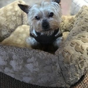 Meet your Posher, Rebecca